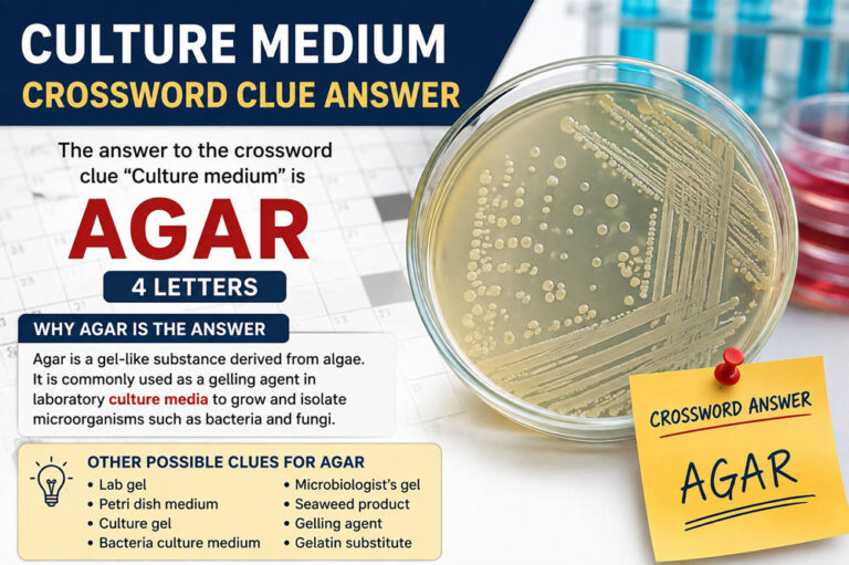 Culture medium crossword clue