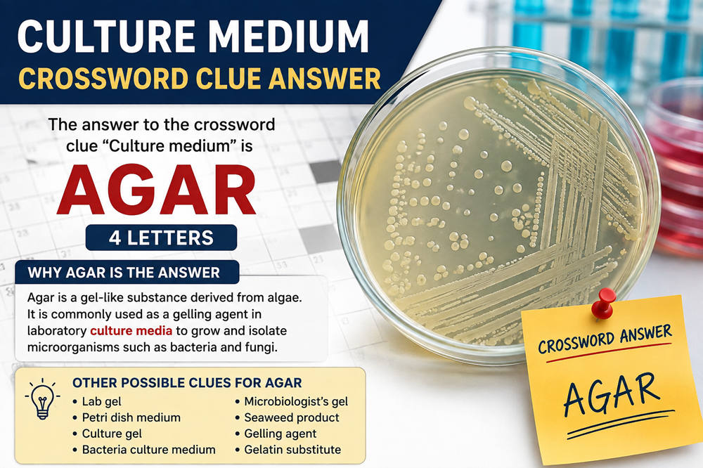 Culture medium crossword clue