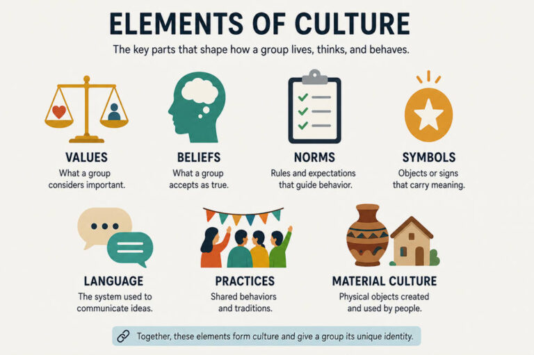 What are the elements of culture