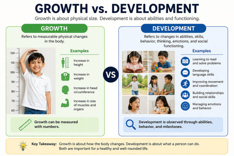 What is the difference between growth and development