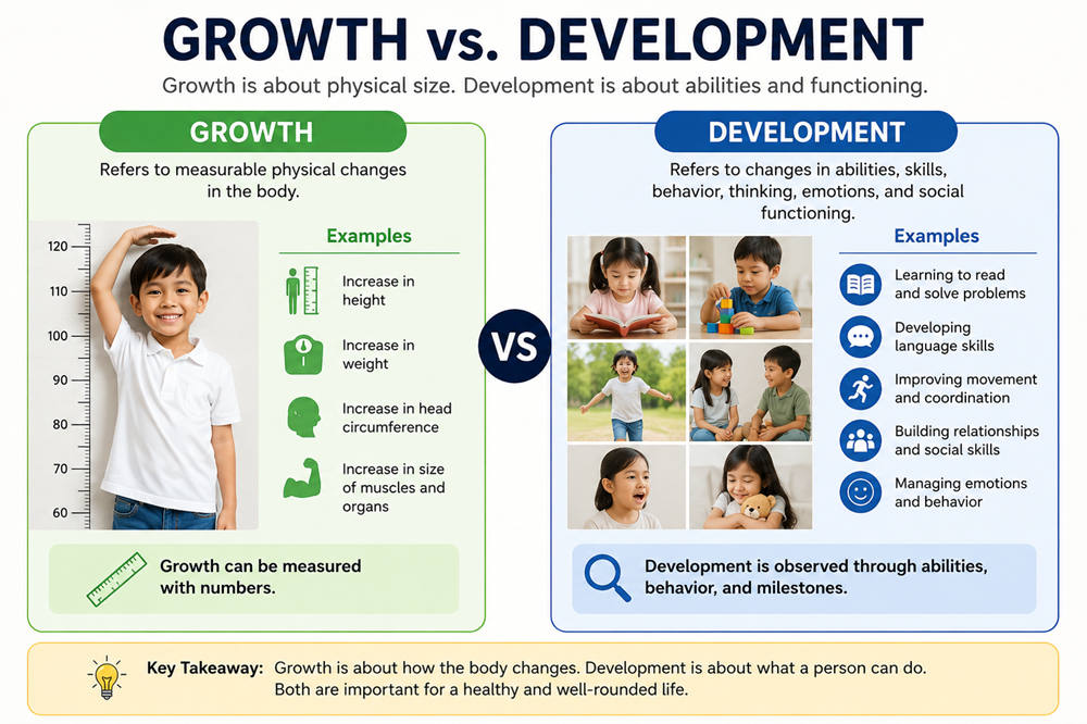 What is the difference between growth and development